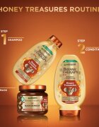 Garnier Botanic Therapy Honey & Propolis șampon regenerator pentru par deteriorat 400 ml