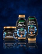 Garnier Botanic Therapy Magnetic Charcoal Sampon pentru scalp gras si fire de par cu terminatii uscate 400 ml
