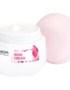 Garnier Botanical cremă hidratantă pentru piele uscata spre sensibila 50 ml