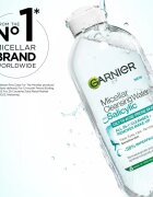 Garnier Salicylic Micellar Cleansing Water apa pentru curatare cu particule micele cu acid salicilic 400 ml