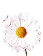 Garnier Textil Masks Hydra Bomb mască textilă calmantă 28 g