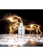 Gisada Titanium Eau de Parfum pentru bărbați 100 ml