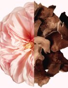 GIVENCHY Irresistible spray parfumat pentru par pentru femei 35 ml
