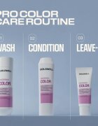 Goldwell Dualsenses Color Brilliance Shampoo șampon pentru păr vopsit 1000 ml
