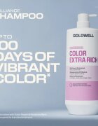 Goldwell Dualsenses Color Extra Rich Brilliance Shampoo șampon pentru o culoare stralucitoare 1000 ml