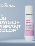 Goldwell Dualsenses Color Extra Rich Brilliance Shampoo șampon pentru o culoare stralucitoare 250 ml
