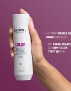 Goldwell Dualsenses Color șampon pentru protecția părului vopsit 250 ml