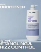 Goldwell Dualsenses Just Smooth Taming Conditioner balsam cu efect de netezire 1000 ml