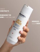Goldwell Dualsenses Rich Repair șampon regenerator pentru păr uscat și deteriorat 250 ml