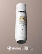 Goldwell Dualsenses Rich Repair șampon regenerator pentru păr uscat și deteriorat 250 ml