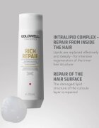Goldwell Dualsenses Rich Repair șampon regenerator pentru păr uscat și deteriorat 250 ml