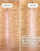 Goldwell Dualsenses Scalp Specialist Rebalance & Hydrate Fluid fluid hidratant pentru refacerea scalpului 150 ml