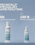 Goldwell Dualsenses Scalp Specialist Sensitive Foam Shampoo sampon spuma pentru piele sensibila 250 ml