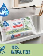GoWipes Procto Care hârtie igienică umedă pentru piele sensibila 44 buc