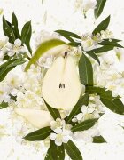Gucci Flora Gorgeous Gardenia Eau de Parfum reincarcabil pentru femei Refill 150 ml