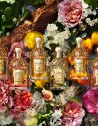 GUERLAIN Aqua Allegoria Bosca Vanilla Forte Eau de Parfum rezervă pentru femei 200 ml