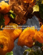 GUERLAIN Aqua Allegoria Mandarine Basilic Forte set cadou pentru femei