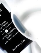 Hair Rituel by Sisley Gentle Purifying Shampoo sampon delicat pentru scalp 500 ml