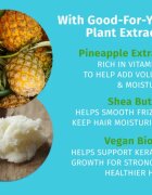 HEMPZ Sweet Pineapple Honey Melon sampon hidratant pentru păr 500 ml
