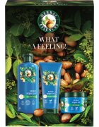 Herbal Essences Argan Oil Repair Gift Set set cadou pentru par deteriorat