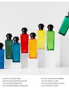 HERMÈS Colognes Collection Eau de Néroli Doré eau de cologne unisex 100 ml