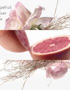 HERMÈS Concentré de Pamplemousse Rose Eau de Toilette unisex 100 ml
