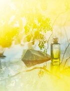 HERMÈS Parfums-Jardins Collection Le Jardin de Monsieur Li Eau de Toilette reincarcabil unisex 50 ml