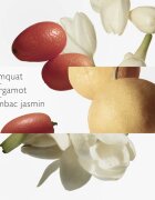 HERMÈS Parfums-Jardins Collection Le Jardin de Monsieur Li Eau de Toilette reincarcabil unisex 50 ml