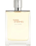 HERMÈS Terre d’Hermès Eau Givrée Eau de Parfum reincarcabil pentru bărbați 175 ml