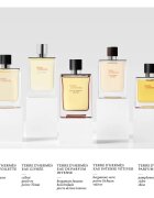HERMÈS Terre d’Hermès Eau Intense Vétiver Eau de Parfum pentru bărbați 100 ml