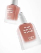 House of Hur Moist Ampoule Blusher fard de obraz lichid culoare 01 Nude Beige 20 ml