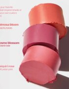 ICONIC London Blurring Blush Stick blush mat cremos culoare Daiquiri 6 buc