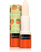 IDC INSTITUTE Skin Food balsam de buze culoare Mango 3.5 g