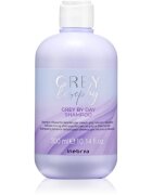 Inebrya Greylosophy Grey By Day Shampoo șampon nuanțator pentru par grizonat 300 ml