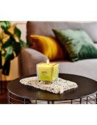 ipuro Essentials Lime Light lumânare parfumată 125 g