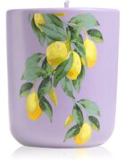 ipuro Travel The World Amalfi lumânare parfumată cu capac 270 g