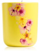 ipuro Travel The World Hawaii lumânare parfumată cu capac 270 g