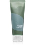 Isntree Real Mugwort masca pentru curatare profunda pentru pielea problematică și grasă 100 ml