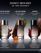 Issey Miyake Le Sel d'Issey parfum pentru bărbați 50 ml