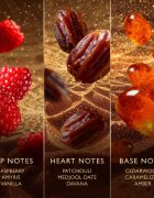 Jawhara Sweet Dates Eau de Parfum unisex 100 ml