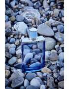 Jimmy Choo Man Aqua Eau de Toilette pentru bărbați 100 ml