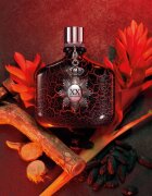John Varvatos XX Intense Eau de Parfum pentru bărbați 75 ml