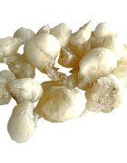 Jungle Way Oman Hojari White Royal tamaie 20 g