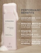 KERASILK Essentials Repairing Shampoo Sampon pentru curatare si hranire a parului pentru păr uscat și deteriorat 250 ml
