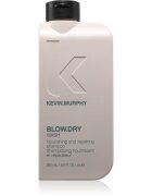 Kevin Murphy Blow.Dry Wash sampon hranitor petru par fragil si fara vlaga 250 ml