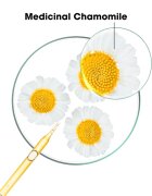 Klorane Chamomile șampon pentru par blond 200 ml