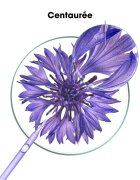 Klorane Cornflower Organic șampon neutralizeaza tonurile de galben 200 ml