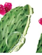 Klorane Prickly Pear șampon intens hidratant 200 ml
