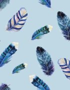 Kolorky Day Feathers scutece ECO de unică folosință marimea XL 12-16 Kg 17 buc