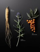 KORIKA Korean Heritage Ginseng & Marine Stem Cells Cell Renew Eye Cream crema anti-rid hidratanta zona ochilor 15 ml